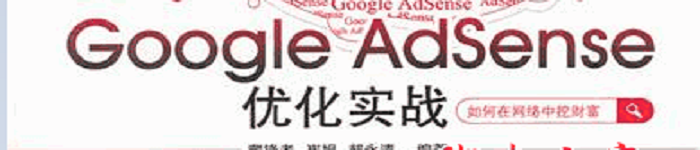 《Google Adsense优化实战(藏锋者等)》pdf电子书免费下载