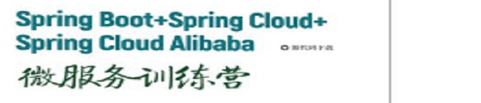《Spring Boot+Spring Cloud+Spring Cloud Alibaba微服务训练营》pdf电子书免费下载