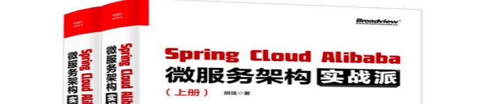 《Spring Cloud Alibaba 微服务架构实战派》pdf电子书免费下载