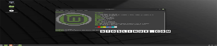 Linux Mint 项目发布了 Linux Mint 21 “Vanessa” 的最终 ISO 映像