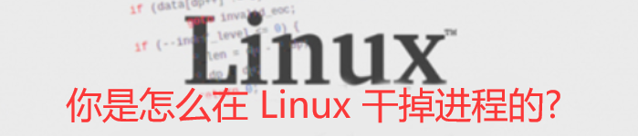 你是怎么在 Linux 干掉进程的?