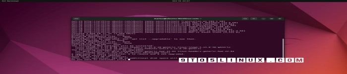 Canonical近日为所有支持的Ubuntu版本发布了新的Linux内核安全补丁