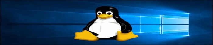 Linux之父Linus Torvalds的电脑坏了，下一个Linux Kernel版本可能延期？