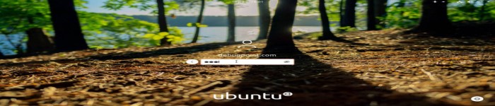 教你如何摆脱 Ubuntu 无趣的登录背景屏幕