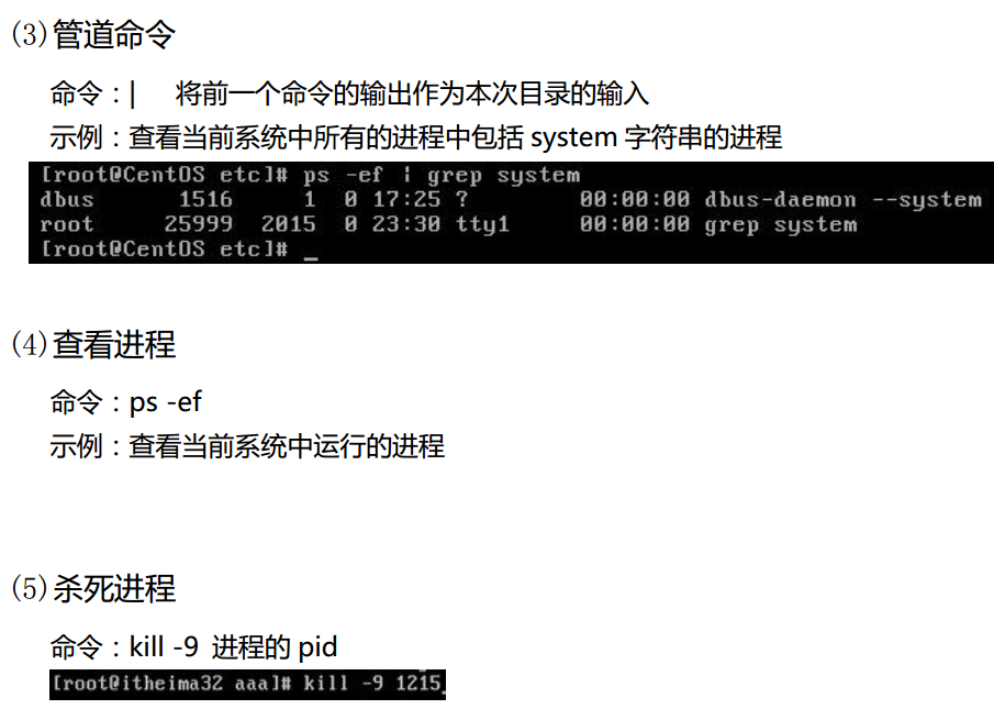 linux vim 显示行号_linux 显示行号的命令_grep 显示行号 命令