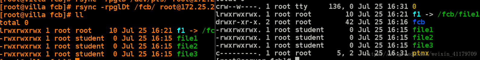 linux curl 文件上传_linux系统上传文件_如何将本机上的文件拷贝到虚拟机下的linux系统下
