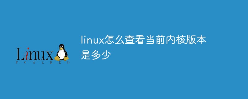 查看linux内核版本_怎么查看linux内核版本_linux 查看内核版本
