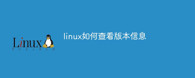 linux 查看linux 版本_linux如何查看操作系统版本_linux查看版本5还是6