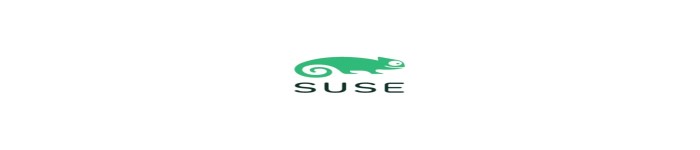 SUSE宣布推出免费RHEL分叉以保留企业级Linux的选择权