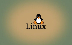 Fedora Linux 的家族（一）：官方版本
