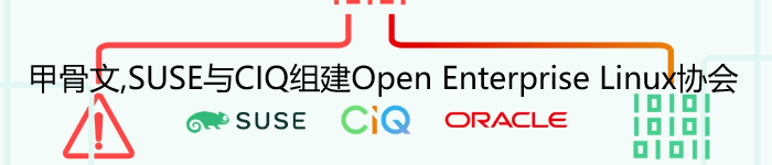 甲骨文,SUSE与CIQ组建Open Enterprise Linux协会,开发与RHEL企业版兼容的发行版本