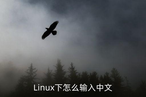 Linux下怎么输入中文