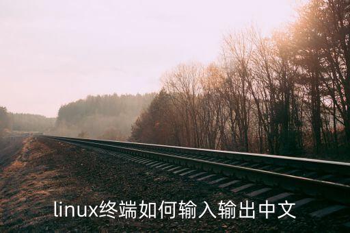 linux终端如何输入输出中文