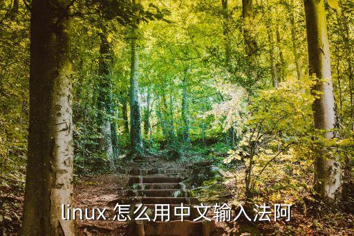 linux 怎么用中文输入法阿